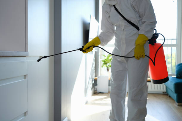 Best Commercial Mold Remediation in Newington, VA